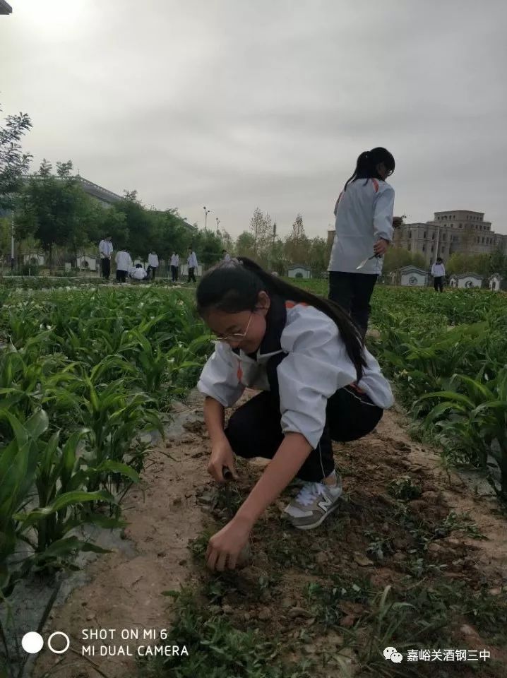 农业科普动态_农业科普知识宣传_农业科普展示内容/