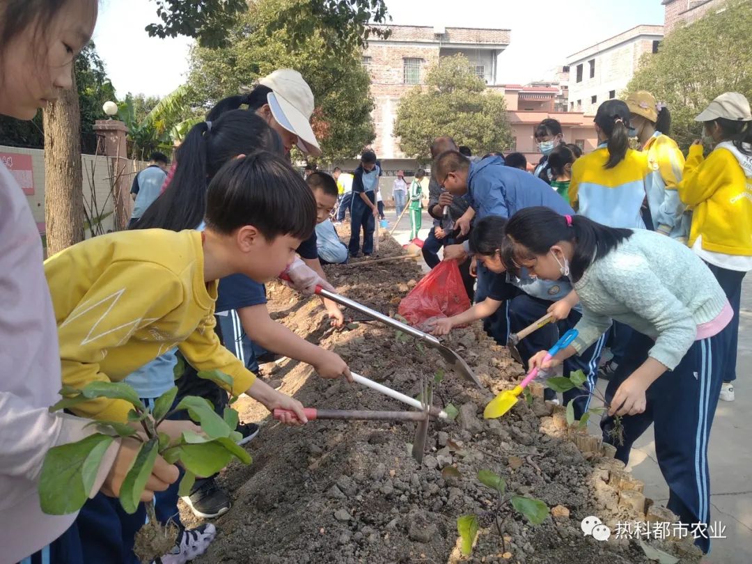 农业科普动态_农业科普是什么意思_农业科普知识宣传/