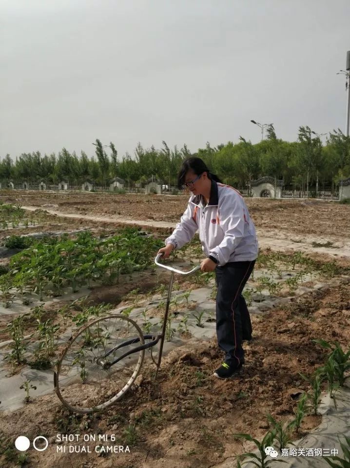 农业科普展示内容_农业科普知识宣传_农业科普动态/