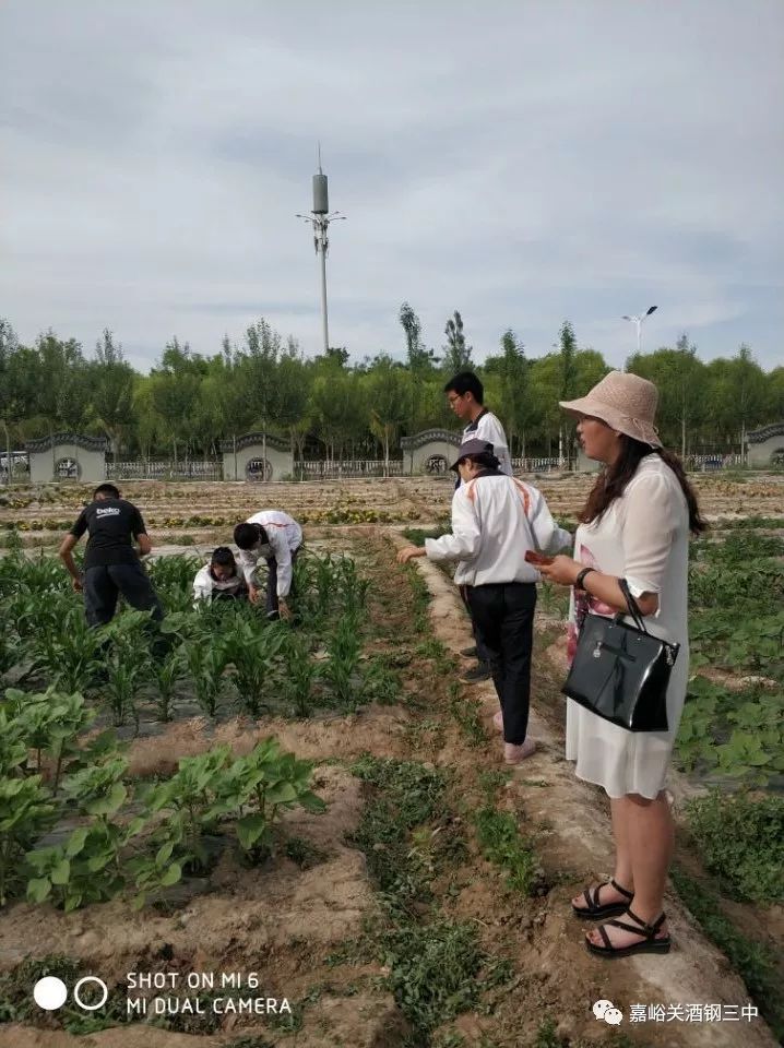 农业科普知识宣传_农业科普展示内容_农业科普动态/