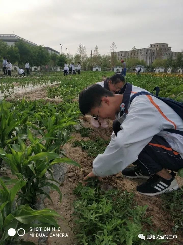 农业科普动态_农业科普知识宣传_农业科普展示内容/