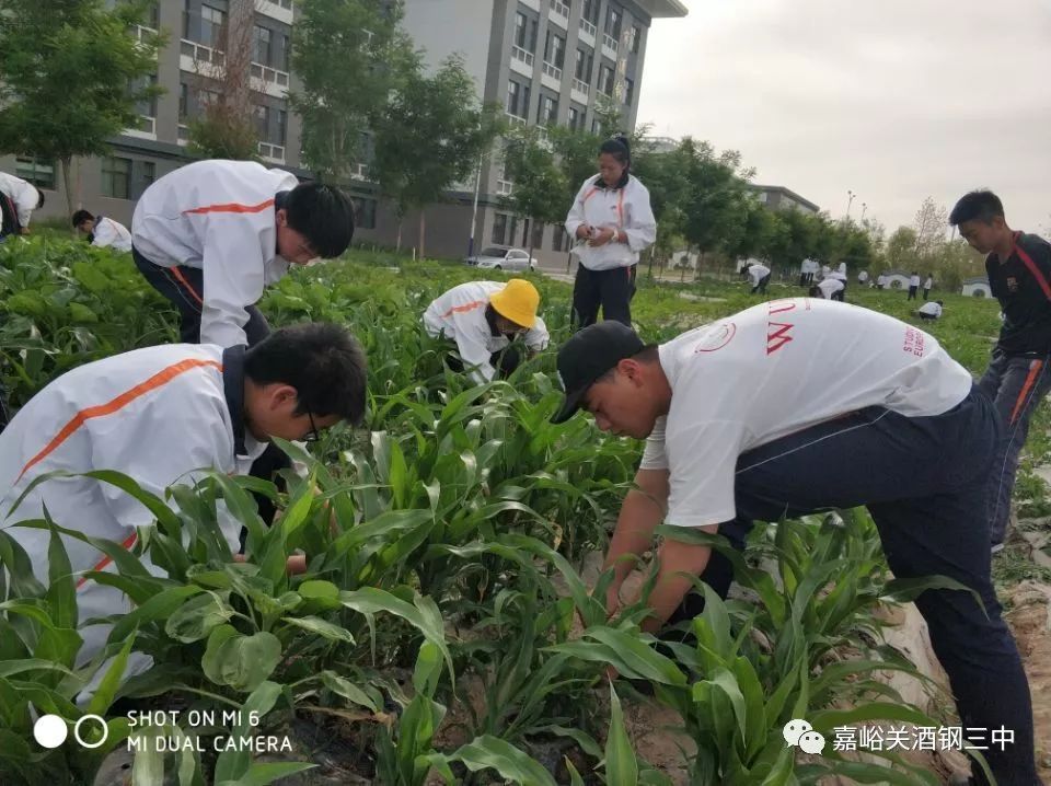 农业科普展示内容_农业科普动态_农业科普知识宣传/